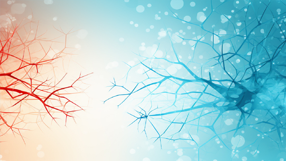 Redes neuronales